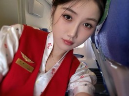 漂亮的空姐
